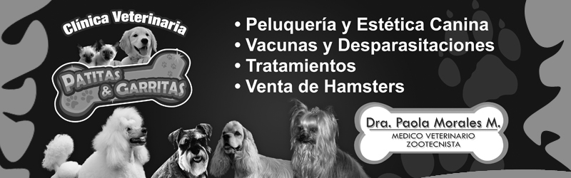 VETERINARIA PATITAS Y GARRITAS