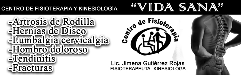 CENTRO DE FISIOTERAPIA VIDA SANA