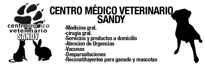 CENTRO MÉDICO VETERINARIO SANDY