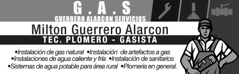 GUERRERO ALARCÓN SERVICIOS