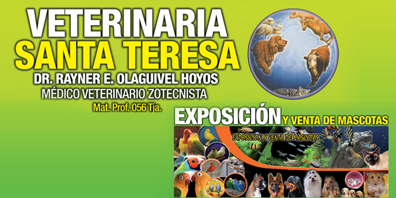 VETERINARIA SANTA TERESA